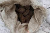 На Николаевщине в лесополосе обнаружили мешок с гранатами