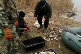 На Николаевщине за прошедший месяц браконьеры выловили рыбы более чем на 120 тыс грн