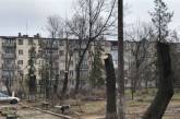 В Николаеве из-за «варварского» кронирования деревьев департамент ЖКХ обратится в полицию 