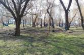 Субботник в Заводском районе: николаевцы убрали зеленую зону возле речвокзала