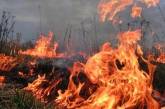 Украинцев предупреждают о высокой пожарной опасности в ближайшие дни