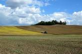 Украинцы стали лидерами по покупке земли в Польше