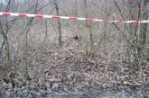 Правоохранители сообщили подробности убийства 18-летнего парня в «Дубках» (ФОТО)