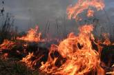 За два дня в Николаеве и области возникло 6 загораний мусора и сухой травы
