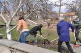 Николаевский гарнизон милиции в третью субботу апреля убирал мусор и сажал елки