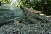 Под Днепром, в лесопосадке, нашли мешки с миллионами гривен
