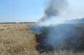 На Николаевщине огонь уничтожил гектар поля пшеницы