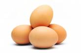Антимонопольный комитет запретил яйцам дорожать перед Пасхой