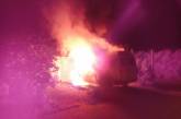 На Николаевщине по неизвестной причине загорелся микроавтобус