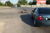 В Первомайске столкнулись «Форд» и мотоцикл: пострадал 65-летний мотоциклист
