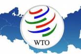 Украина проиграла РФ "аммиачный спор" в ВТО