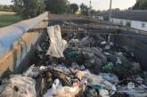 В Черкасской области обнаружили грузовики со львовским мусором