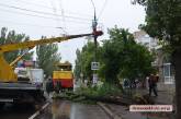 Упавшее дерево оборвало контактную сеть в центре Николаева — образовался огромный затор