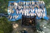 На Николаевщине бригадир рыбпредприятия в запрещенное время наловил 21,5 кг рыбы