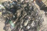 «ЭЛУ автодорог» показало николаевцам горы мусора, которые обнаружили в ливневой канализации 