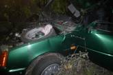 Под Николаевом "Славута" вылетела в кювет и врезалась в дерево - погиб водитель