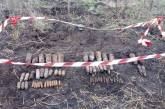 На Николаевщине пиротехники уничтожили 61 взрывоопасный предмет
