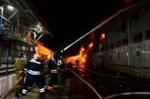 Спасатели потушили маслоперерабатывающий завод под Одессой. ФОТО