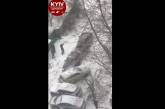 В Киеве из-за снега и гололеда столкнулись шесть авто. ВИДЕО