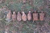 На Николаевщине пиротехники уничтожили 7 ручных гранат
