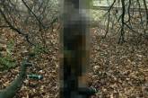 В Николаеве в лесополосе у железной дороги обнаружен полуразложившийся труп. ФОТО 18+