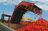 Николаевский производитель томатной пасты отказался от строительства завода на Херсонщине