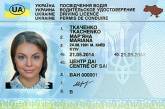 Водительские права в Украине предложили выдавать без прохождения курсов