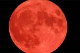 Сегодня ночью над Украиной взойдет кровавая Луна - следующая будет через 18 лет