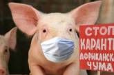 На городской свалке Николаева обнаружили труп свиньи с АЧС