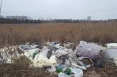 Озеро в Николаеве засыпают бытовым и строительным мусором