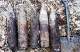 Жители Николаевщины во время поиска металлолома обнаружили артиллерийские снаряды. ФОТО