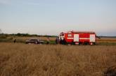 В Новоодесском районе загорелось поле с пшеницей