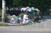 В Ленинском районе экстренно вывезли мусор: сработал «кошачий рефлекс»?  