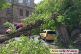 Во дворе в центре Николаева дерево рухнуло на припаркованный автомобиль