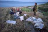На Николаевщине браконьеры выловили сетями 166 кг карася