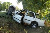 Из-за выбежавшего на дорогу животного «Форд» врезался в дерево: пострадали четверо граждан Беларуси