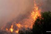 Возле Станицы-Луганской горит заминированный лес