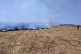 На Николаевщине за сутки выгорело 42 га открытых территорий, причина пожаров - поджог