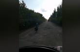 По худшей дороге страны «Кривой Рог — Николаев» на велосипеде ехать быстрее, чем на авто. ВИДЕО