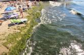Вода не соответствует санитарным нормам на пяти пляжах в Одессе