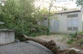 В Николаеве на детскую площадку упало дерево, которое жители просили снести с февраля