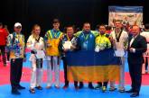 Николаевская спортсменка завоевала бронзовую медаль на чемпионате Европы по тхэквондо
