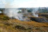 Из-за длительной засухи в Николаеве каждый день пылают пожары. ФОТО. ВИДЕО