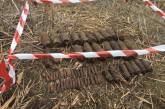На Николаевщине пиротехники уничтожили 60 единиц взрывоопасных предметов