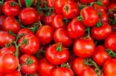 В Украину пытались ввезти зараженные помидоры из Турции