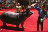 Все государственные цирки в течение года откажутся от животных в представлениях - министр