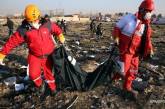 Германия предложила Украине помощь в расследовании обстоятельств авиакатастрофы в Иране
