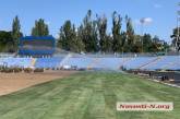 Новый газон на Центральном стадионе Николаева нужно дополнительно отапливать