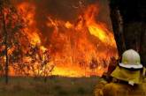 Лесные пожары в Австралии: погиб еще один огнеборец