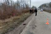 На трассе под Харьковом водитель насмерть сбил двух мужчин и скрылся